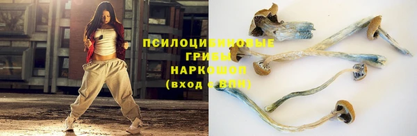 синтетический гашиш Алексин