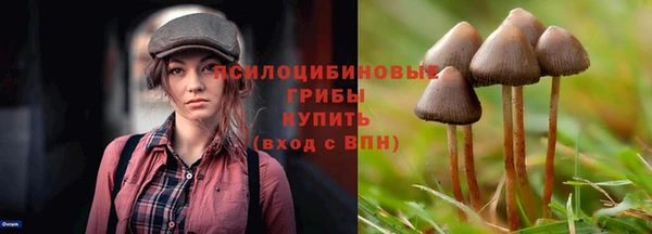 синтетический гашиш Алексин