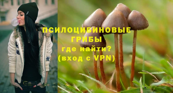 героин Алзамай