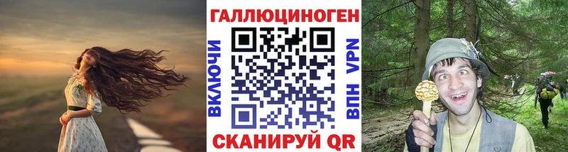 наркота  Мураши  darknet как зайти  Галлюциногенные грибы мухоморы  mega маркетплейс 